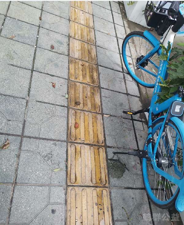 盲道问题处理后图片