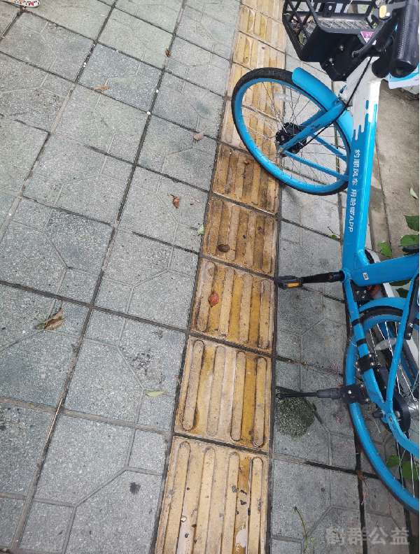 盲道问题反馈图