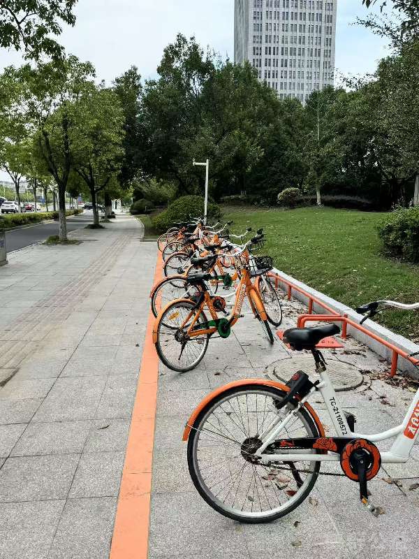 盲道问题处理后图片