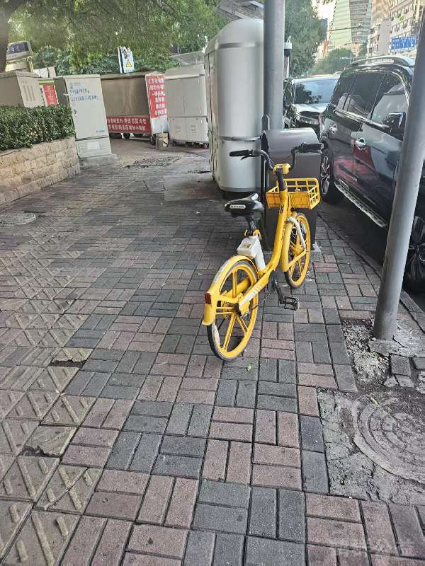 盲道问题处理后图片