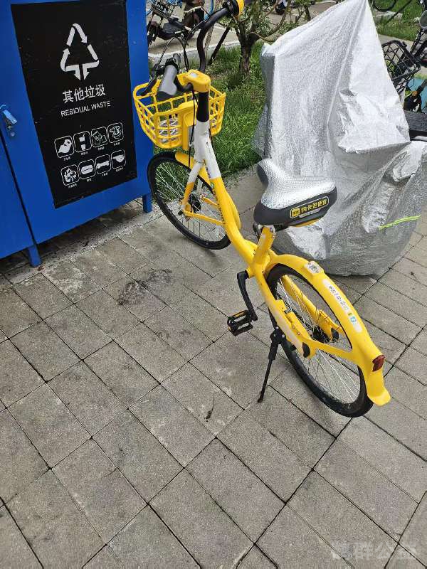 盲道问题处理后图片