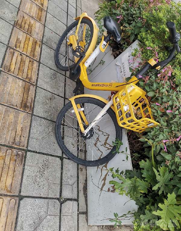 盲道问题处理后图片