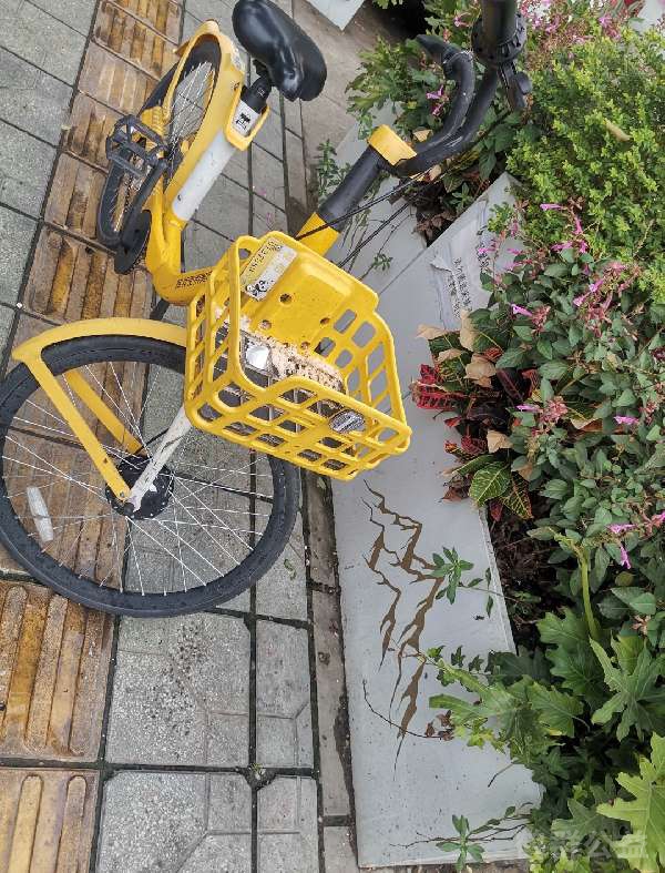 盲道问题反馈图