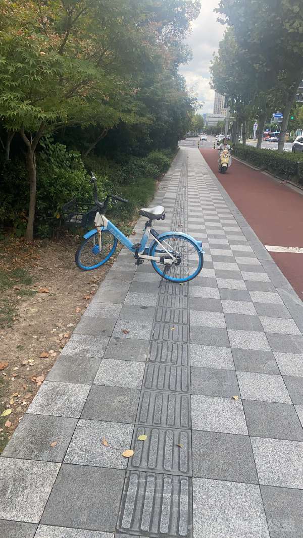 盲道问题反馈图