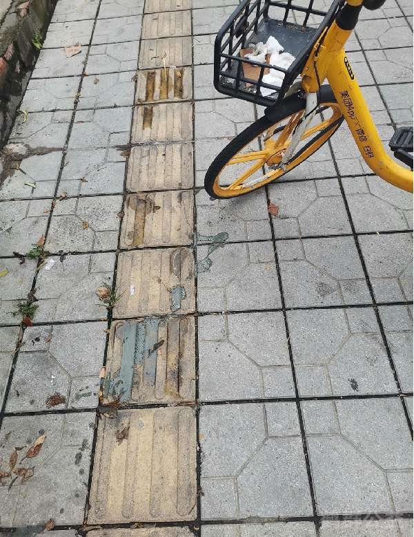 盲道问题处理后图片