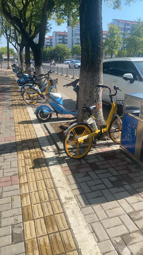 盲道问题处理后图片