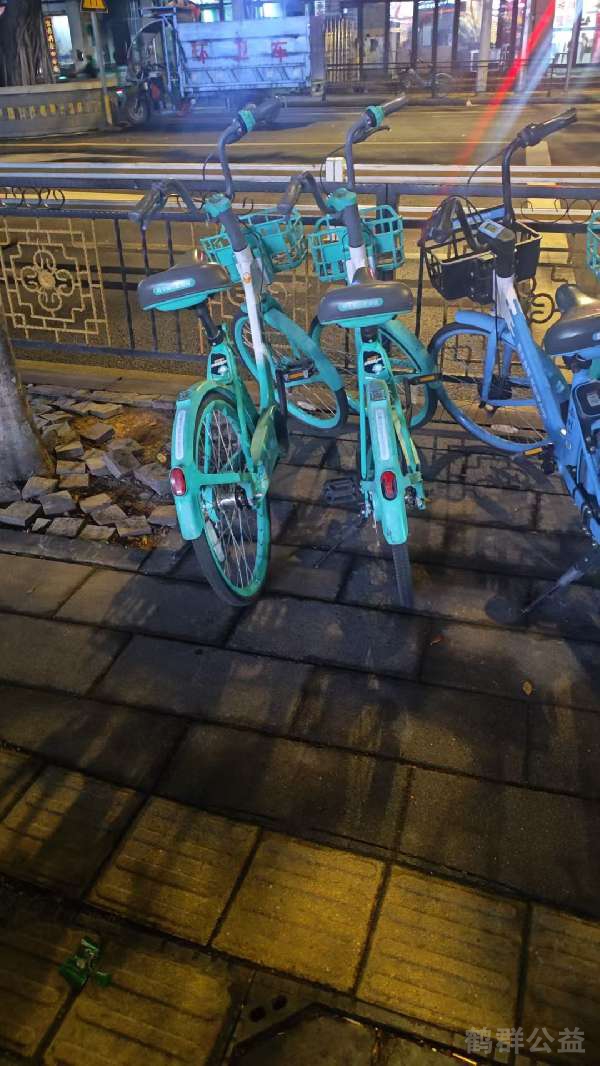 盲道问题处理后图片