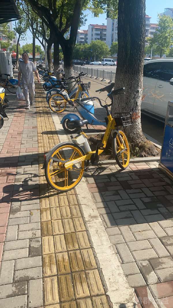 盲道问题反馈图