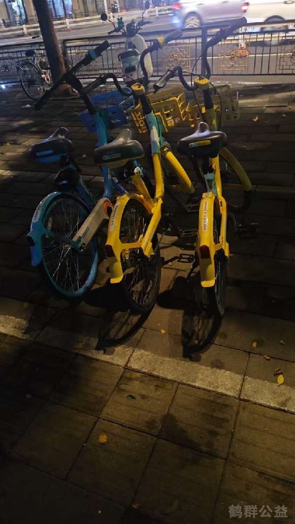 盲道问题处理后图片