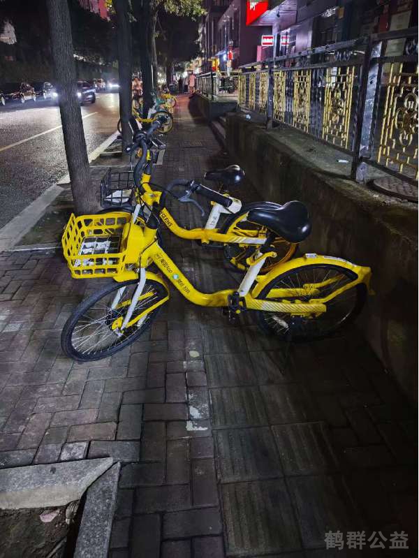 盲道问题反馈图