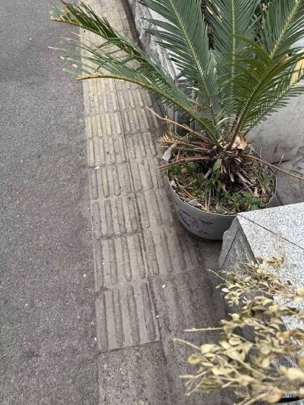 盲道问题反馈图