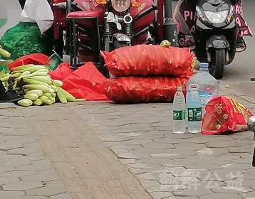 盲道问题反馈图