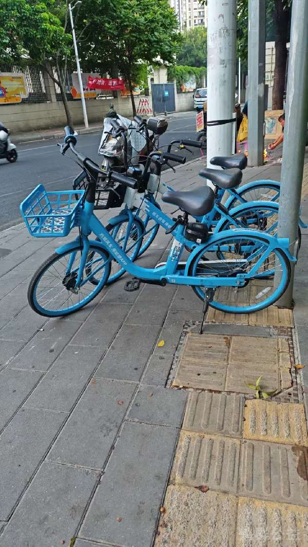 盲道问题反馈图