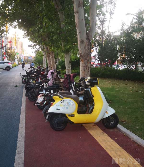 盲道问题反馈图