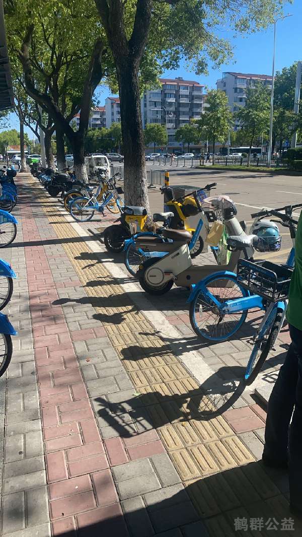 盲道问题处理后图片