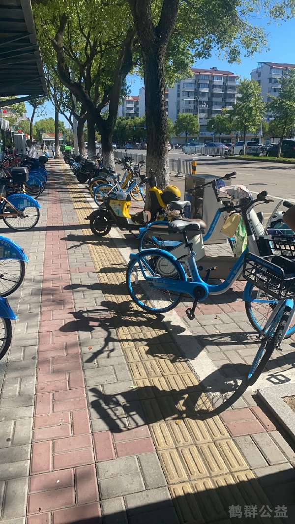 盲道问题反馈图