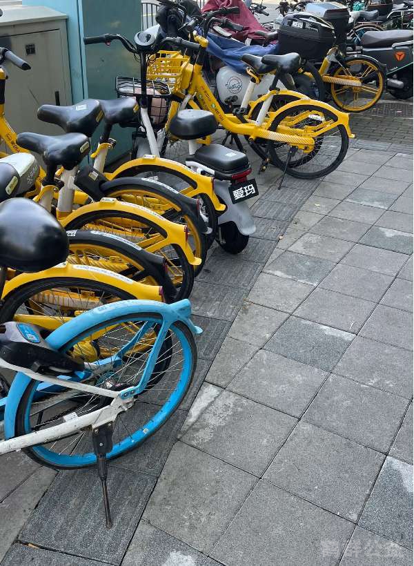 盲道问题反馈图