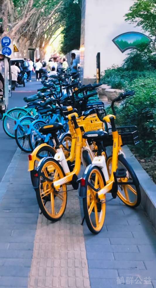 盲道问题反馈图