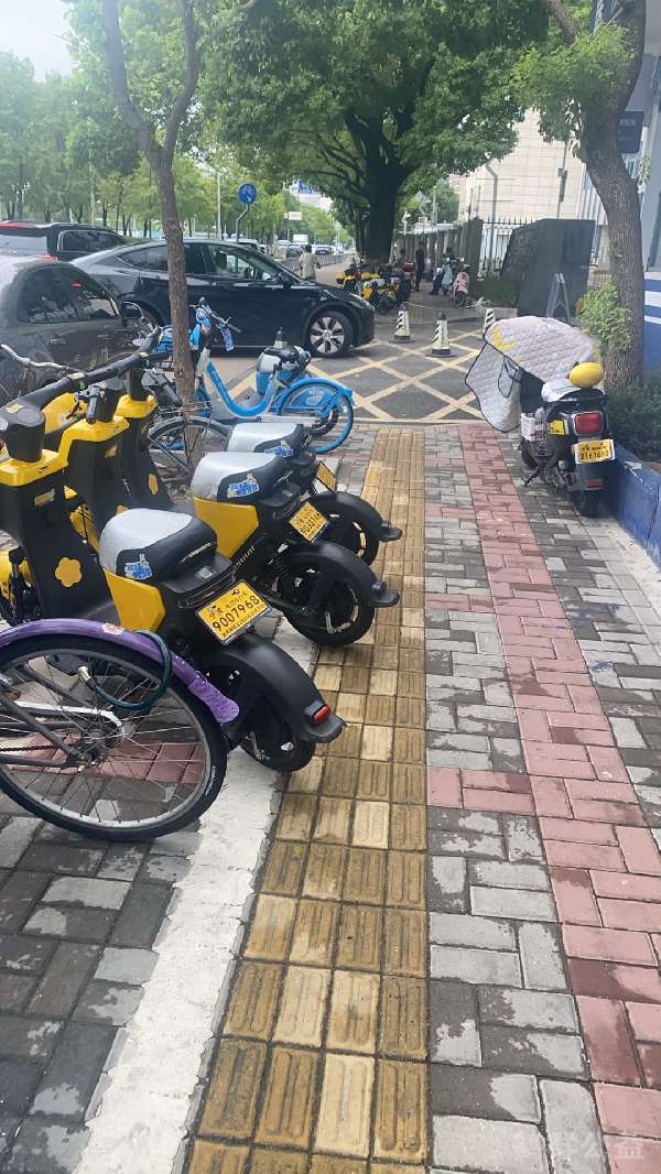 盲道问题反馈图