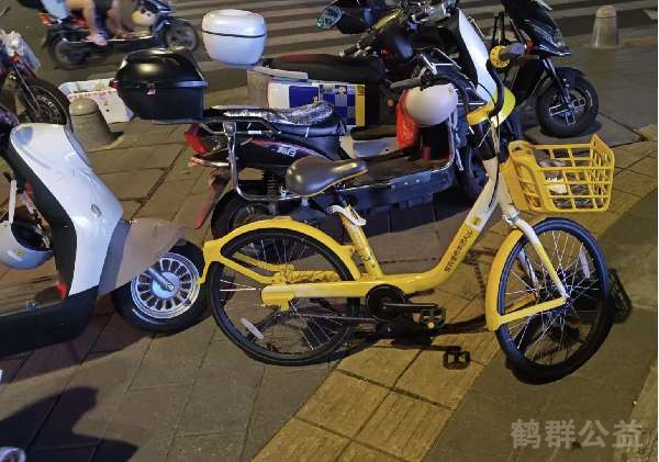 盲道问题反馈图