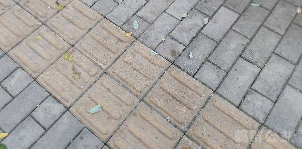 盲道问题处理后图片