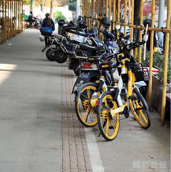 盲道问题反馈图