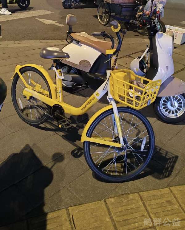 盲道问题处理后图片