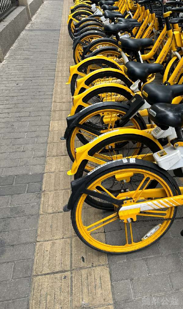 盲道问题反馈图