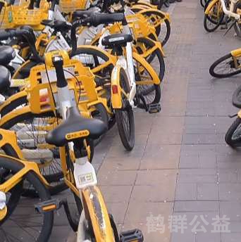 盲道问题反馈图