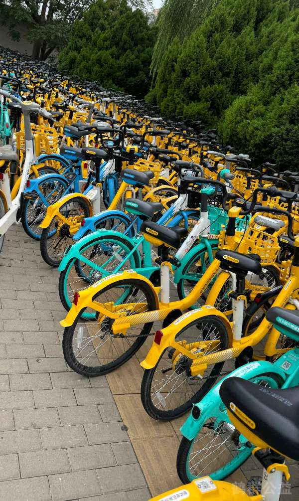 盲道问题反馈图