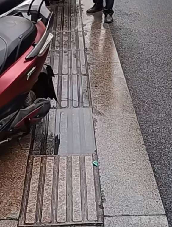 盲道问题反馈图