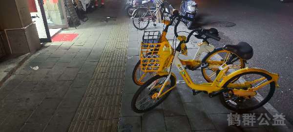 盲道问题处理后图片