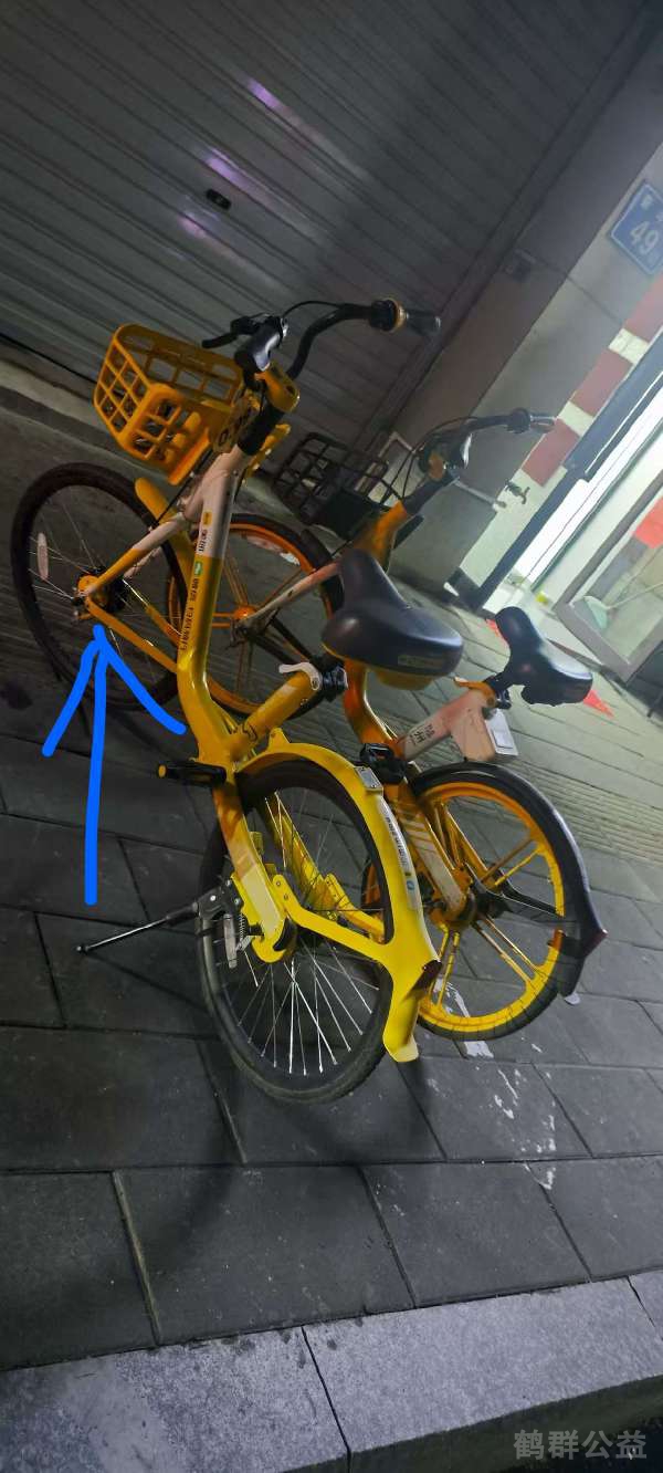 盲道问题反馈图