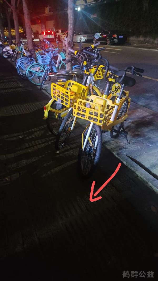 盲道问题反馈图