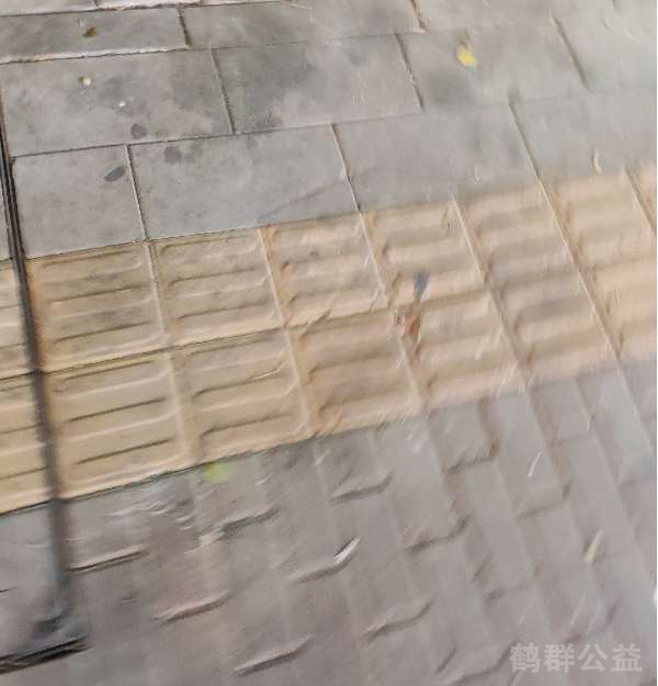 盲道问题处理后图片