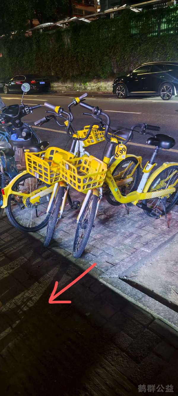 盲道问题处理后图片