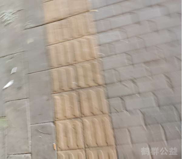 盲道问题处理后图片