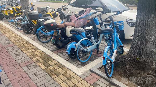 盲道问题处理后图片