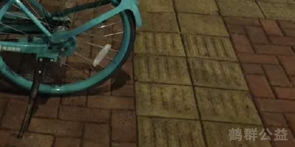 盲道问题处理后图片