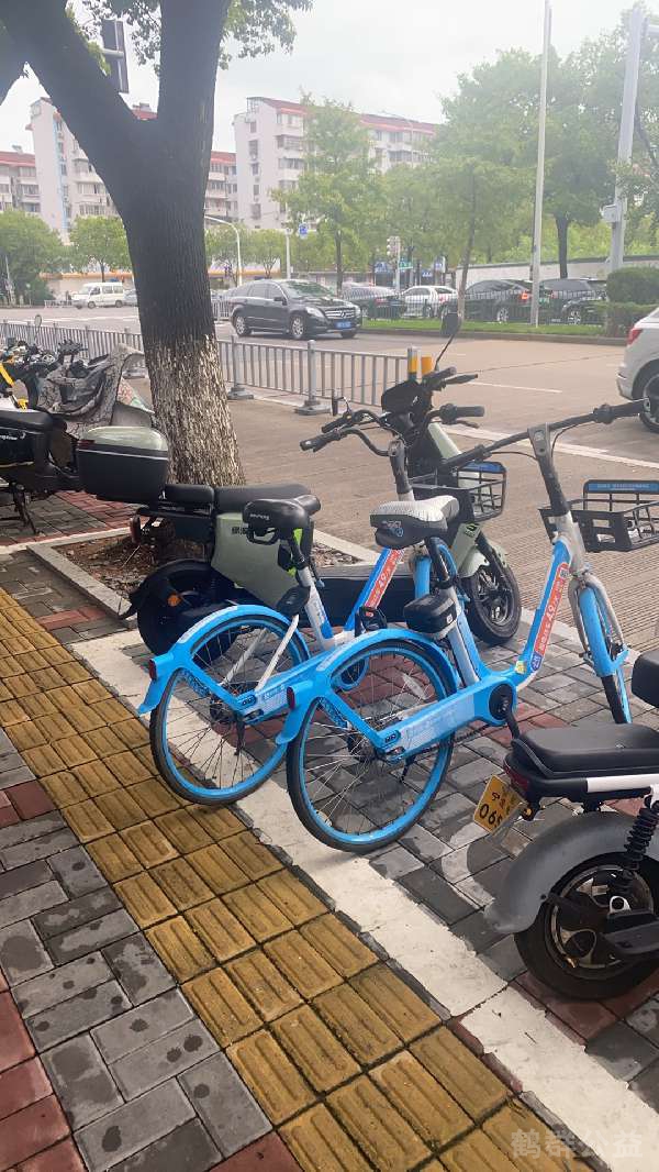 盲道问题反馈图