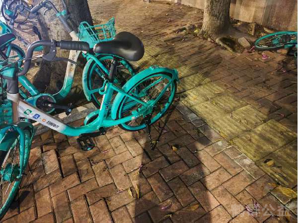 盲道问题处理后图片