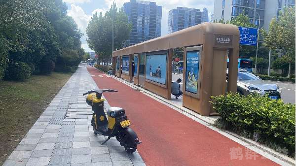 盲道问题处理后图片