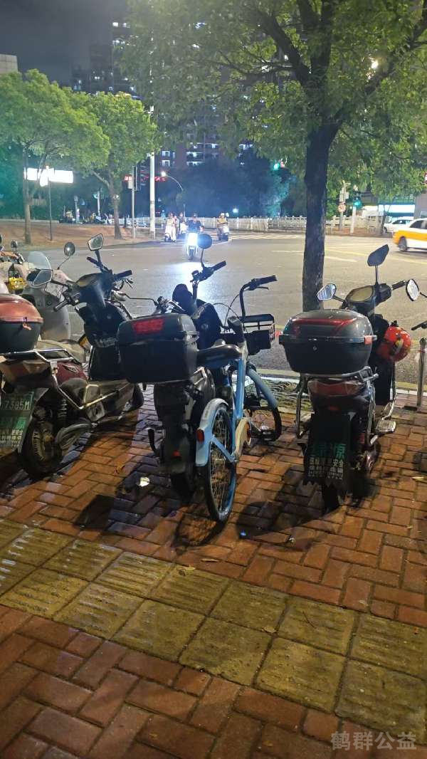 盲道问题处理后图片