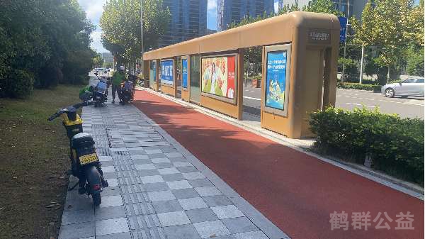 盲道问题处理后图片