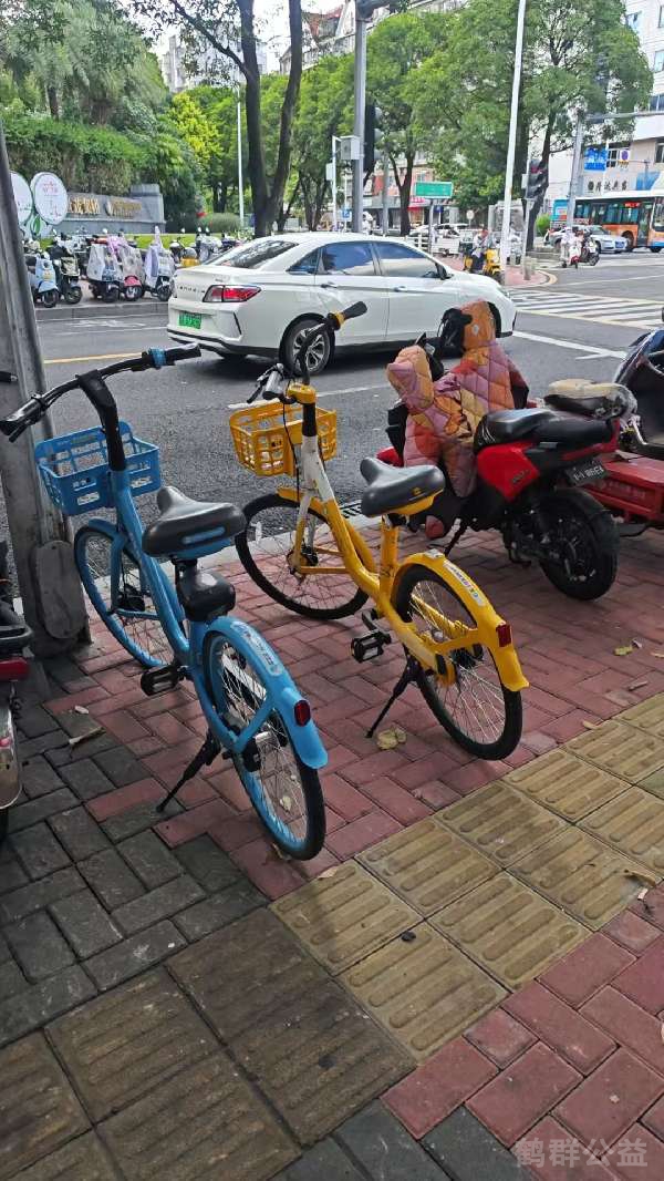 盲道问题处理后图片