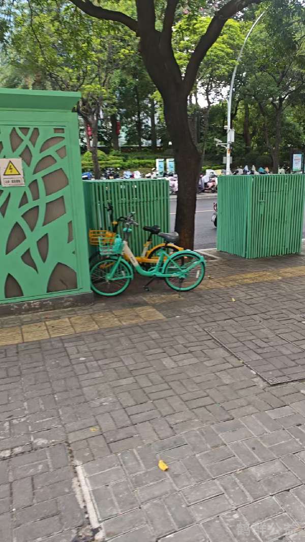 盲道问题反馈图