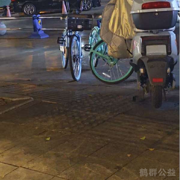 盲道问题处理后图片