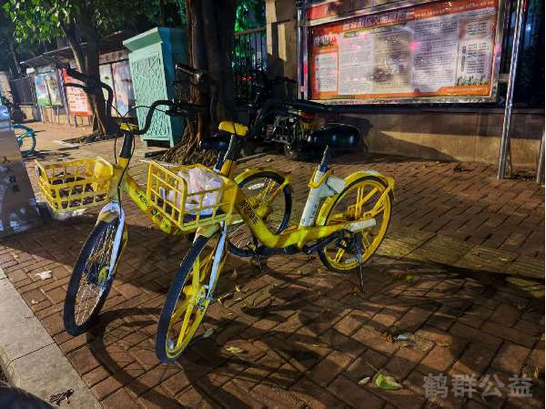 盲道问题处理后图片