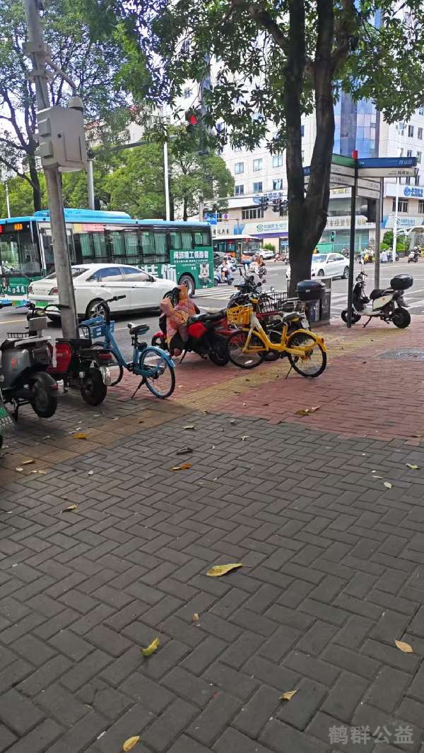 盲道问题反馈图