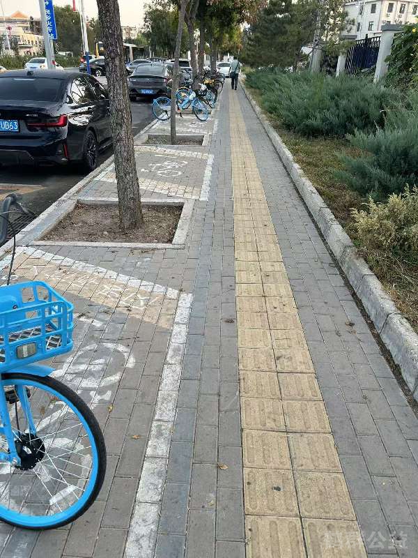 盲道问题处理后图片